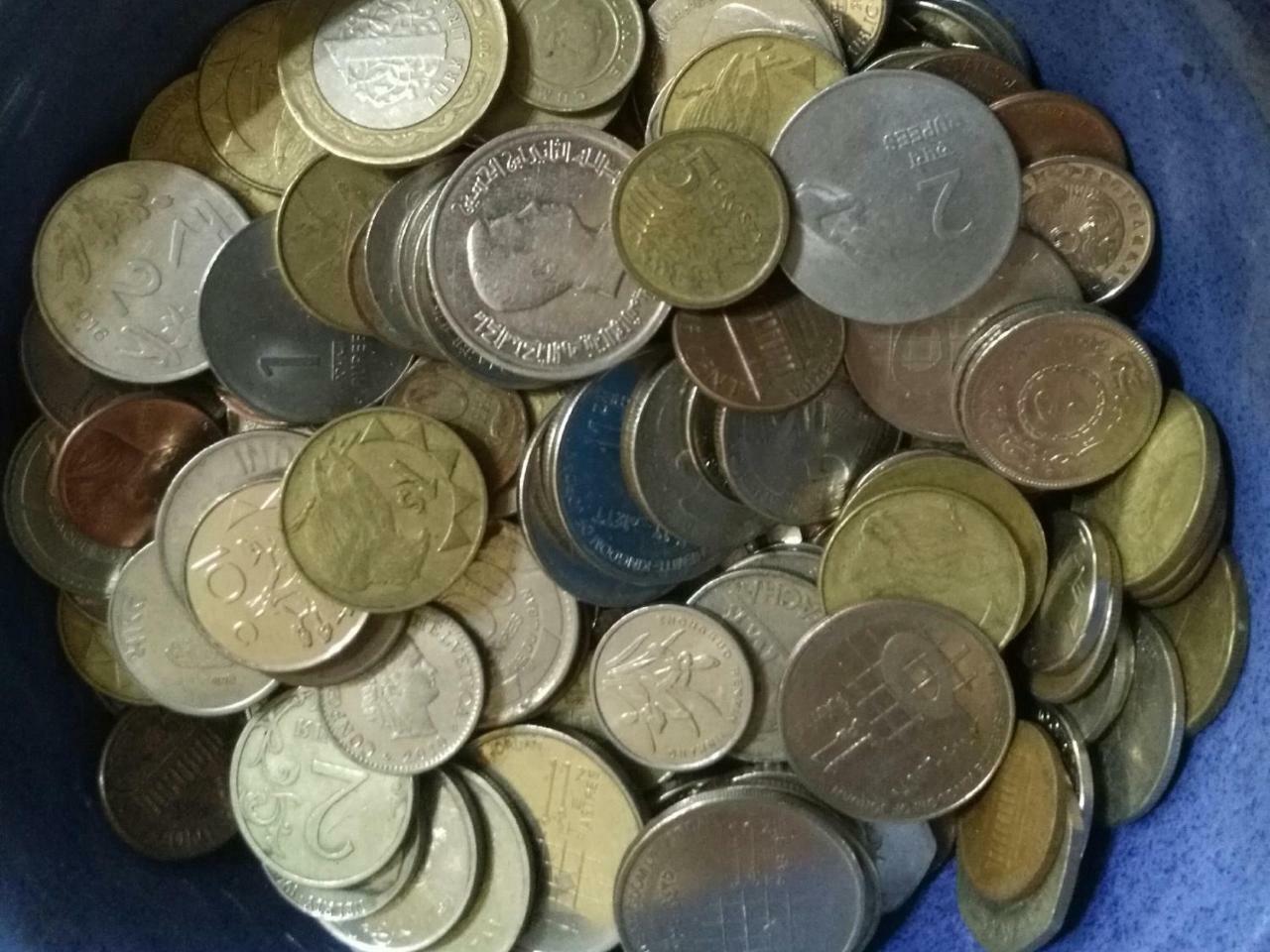شباب سفاري *